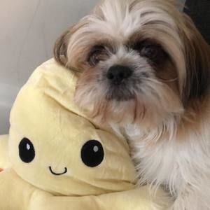 Meet your Posher, Adriana